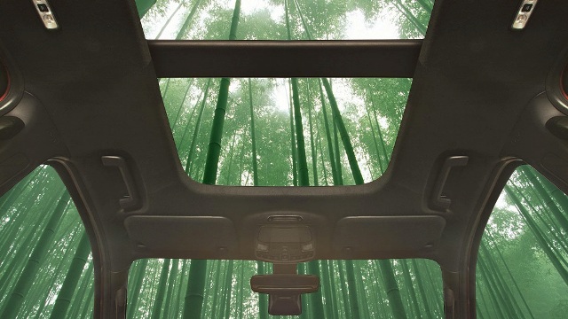 Bambu no carro: pode ser melhor que metal